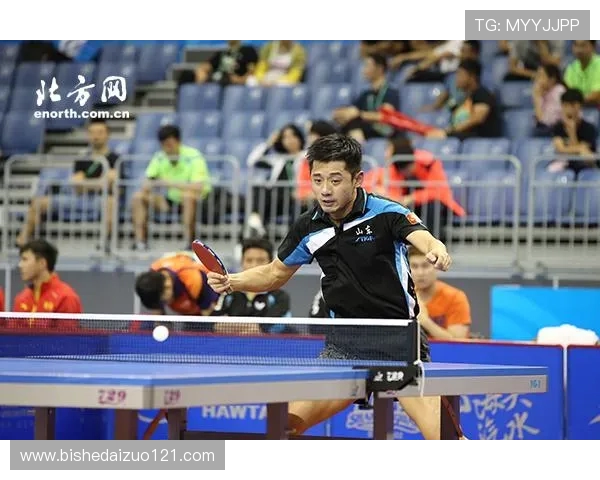 杭州乒乓球队的节奏分析与未来发展方向探讨