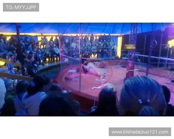 西安乒乓球队进攻策略分析及其在比赛中的成效与不足