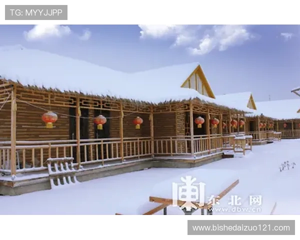 深度解析NBA新赛季整体格局与多支球队崛起走势全面观察动态篇