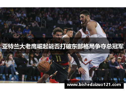 亚特兰大老鹰崛起能否打破东部格局争夺总冠军